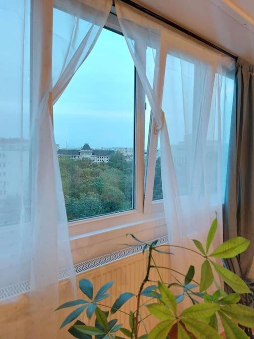 Sweet Dreams Suites Cismigiu Studio Бухарест Экстерьер фото